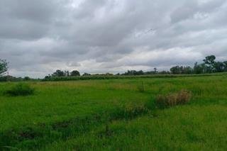 Commercial Property for Sale in Koppies Rural Free State